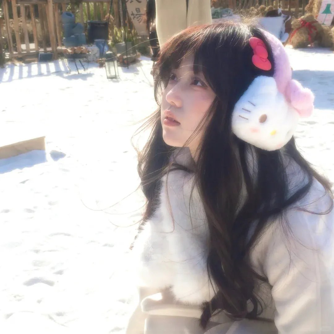 攻壳机动队 S.A.C. Solid State Society